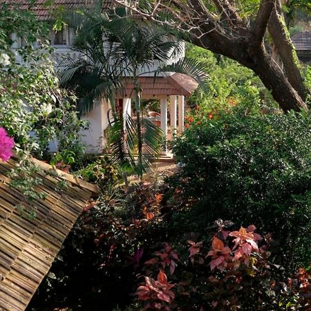 Gaia'S Garden Guest House Auroville Luaran gambar