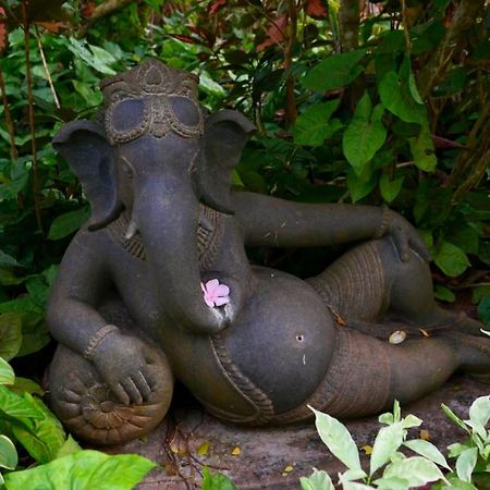 Gaia'S Garden Guest House Auroville Luaran gambar