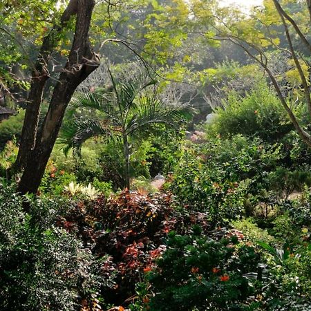 Gaia'S Garden Guest House Auroville Luaran gambar