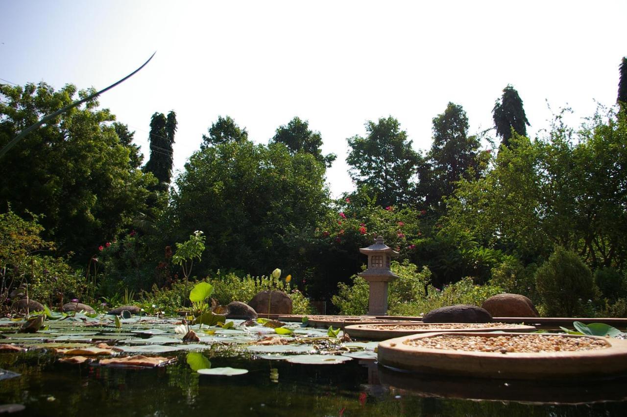 Gaia'S Garden Guest House Auroville Luaran gambar
