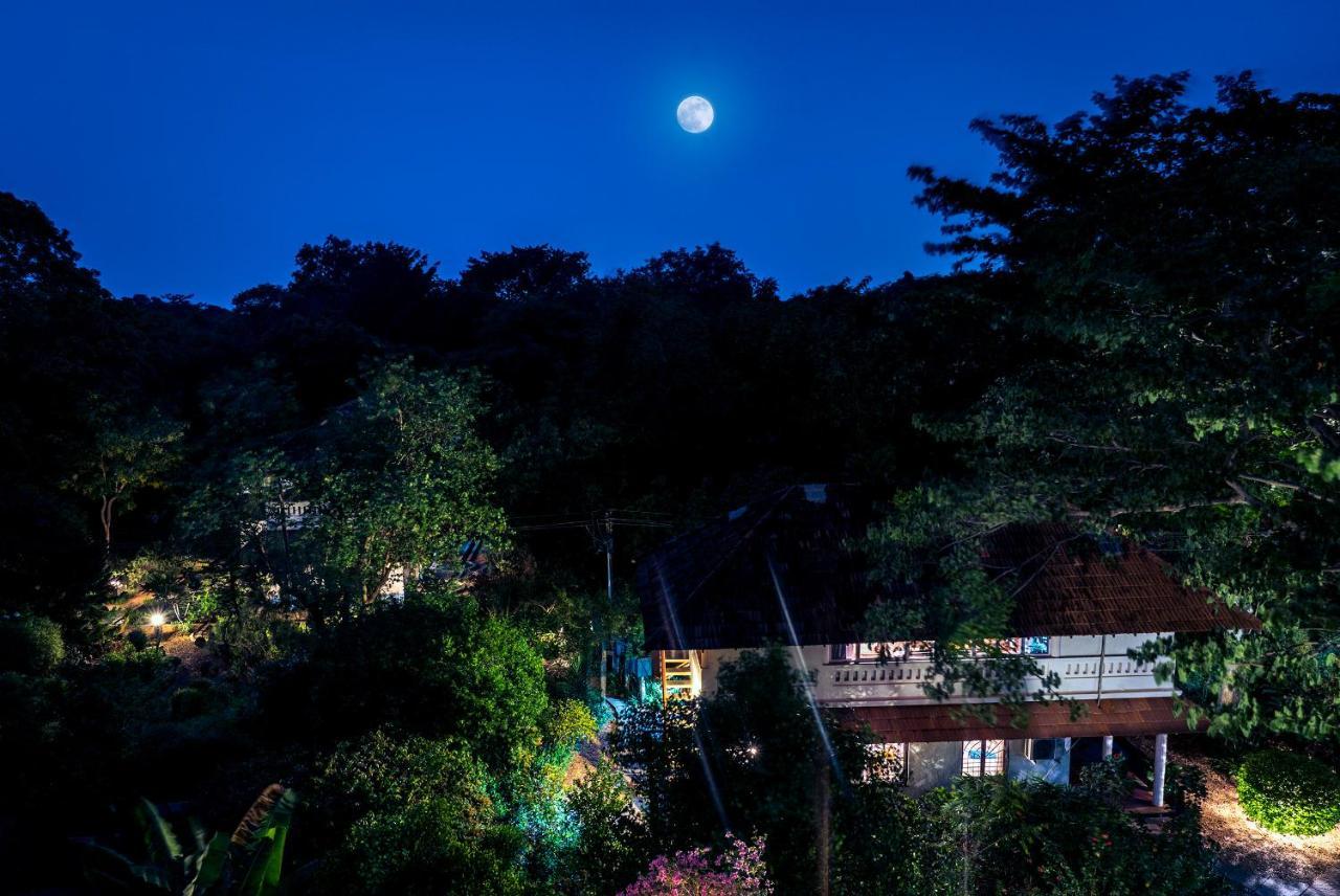 Gaia'S Garden Guest House Auroville Luaran gambar