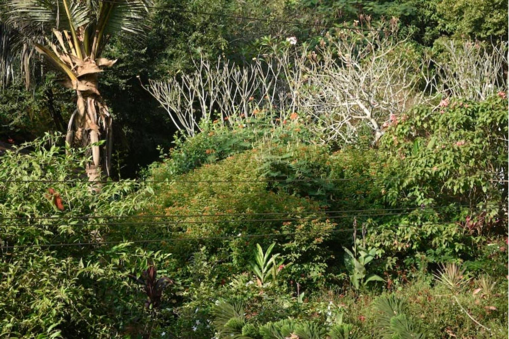 Gaia'S Garden Guest House Auroville Luaran gambar