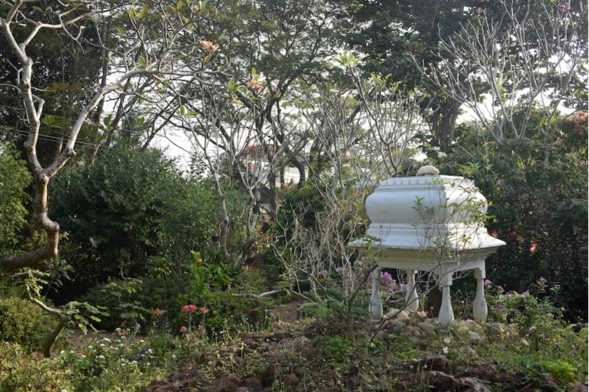 Gaia'S Garden Guest House Auroville Luaran gambar