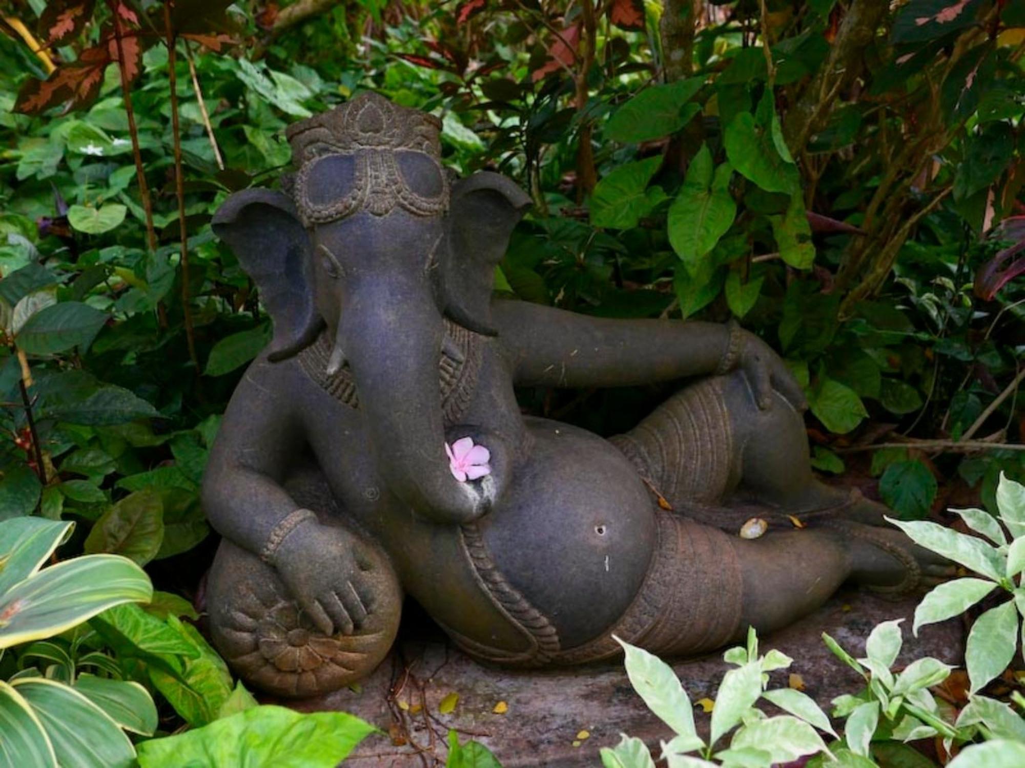 Gaia'S Garden Guest House Auroville Luaran gambar