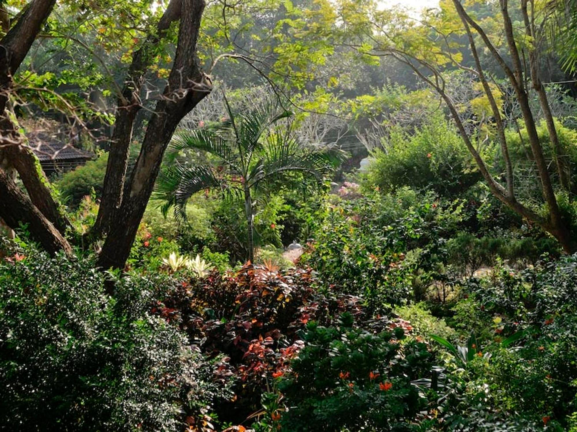 Gaia'S Garden Guest House Auroville Luaran gambar